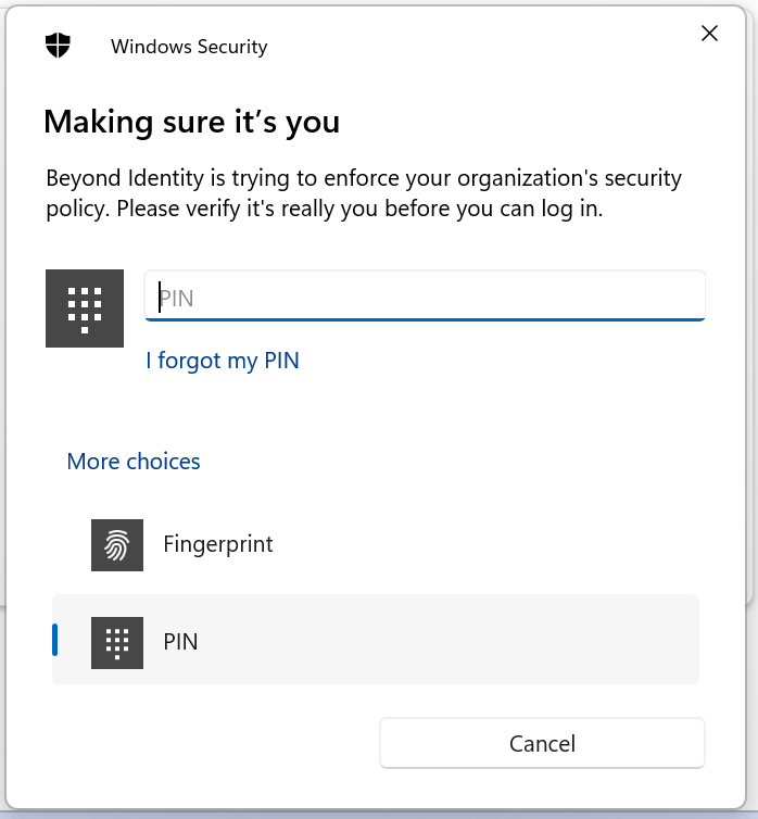 PIN Verification.png