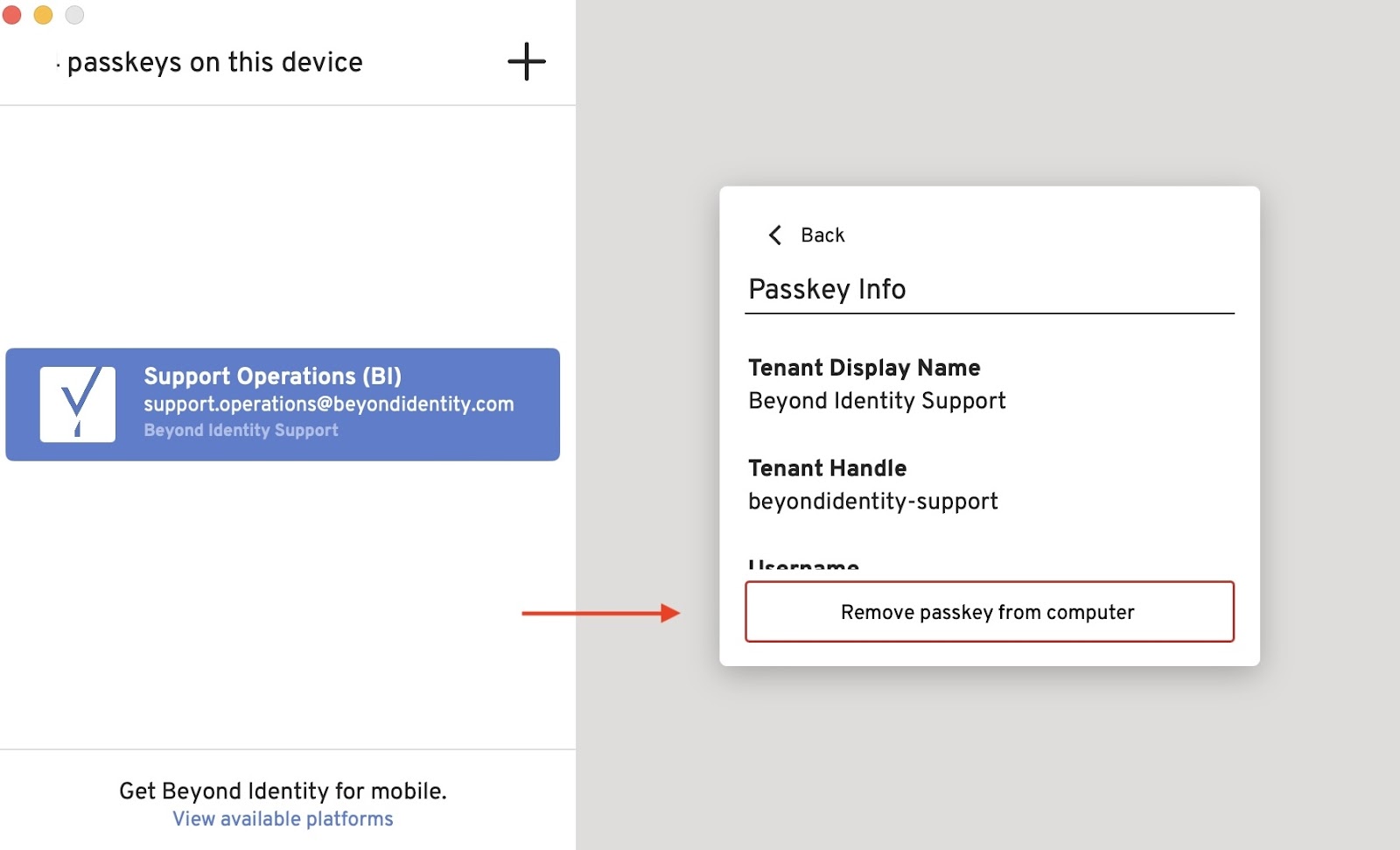About this Passkey.jpg