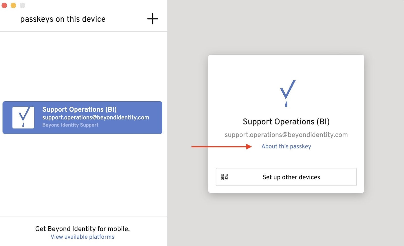 Remove Passkey From This Device.jpeg