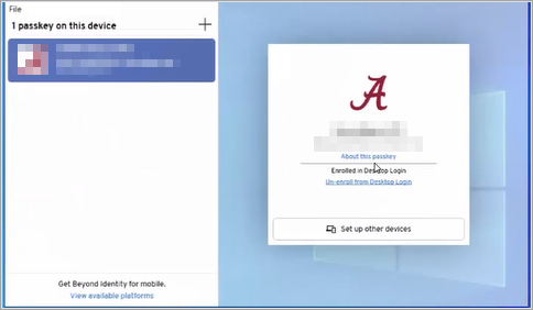WDL about passkey.PNG