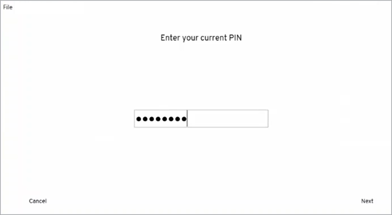 enter current pin to reset.png