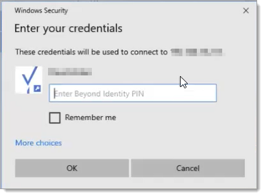 connect rdp - bi credentials.png