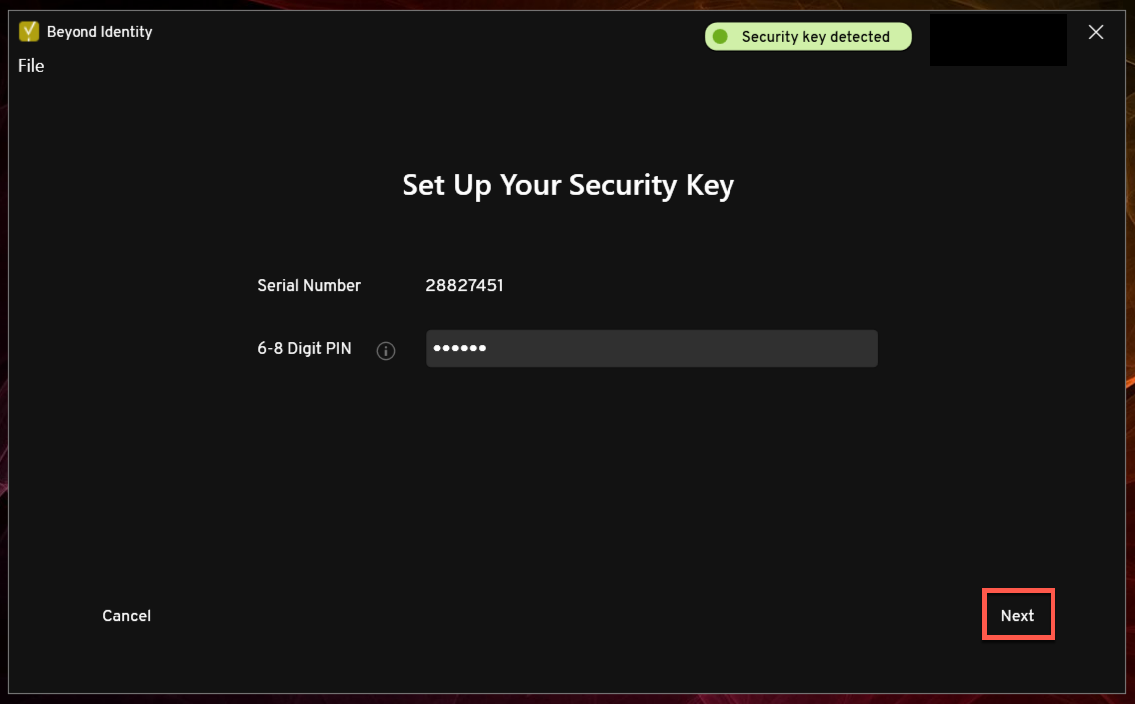 PIN set click Next.png