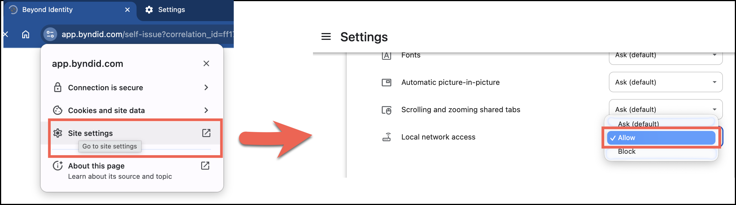 allow-local-network-access.png